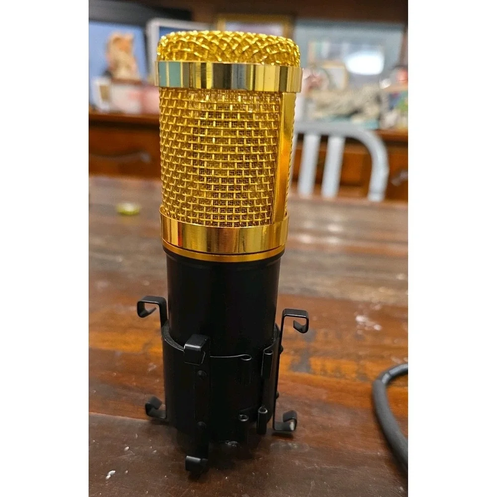 ZINGYOU Condenser Microphone and Cord, PC Professional Cardioid